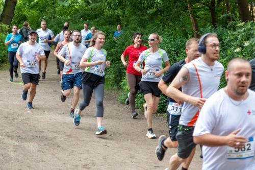 _MG_3406-Verbessert-RR