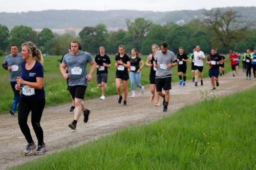 Große Wiese 2023